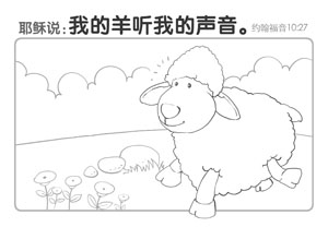 Boxed Coloring Card – Good Shepherd’s Voice