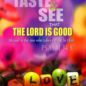 2016 small notebook (English) – the taste of the Lord