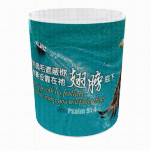 Chinese Scripture Mug – A2